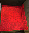 Rhinestone Embellished Paisley Bandana - Red