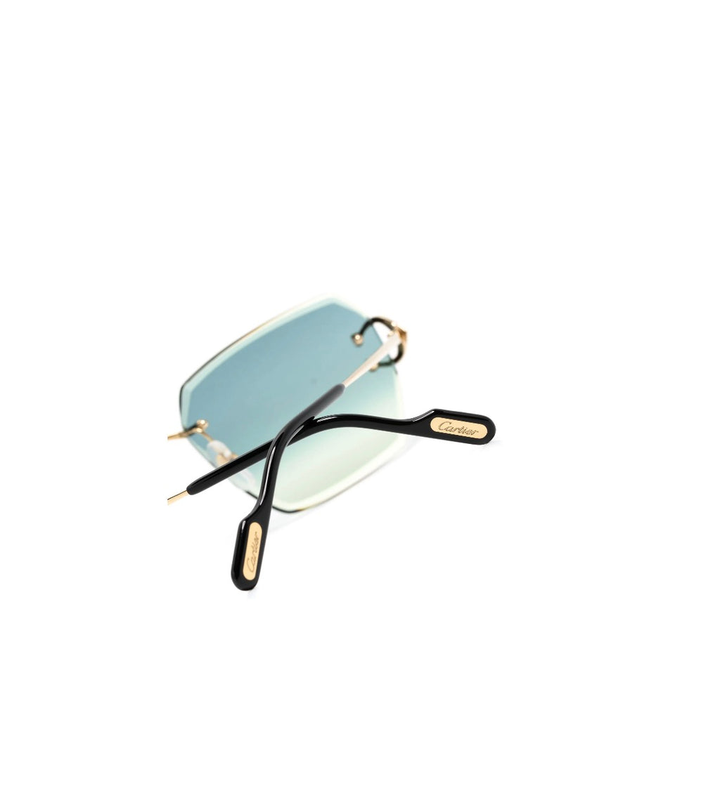 CARTIER EYEWEAR SIGNATURE C DE CARTIER GEOMETRIC-FRAME SUNGLASSES
